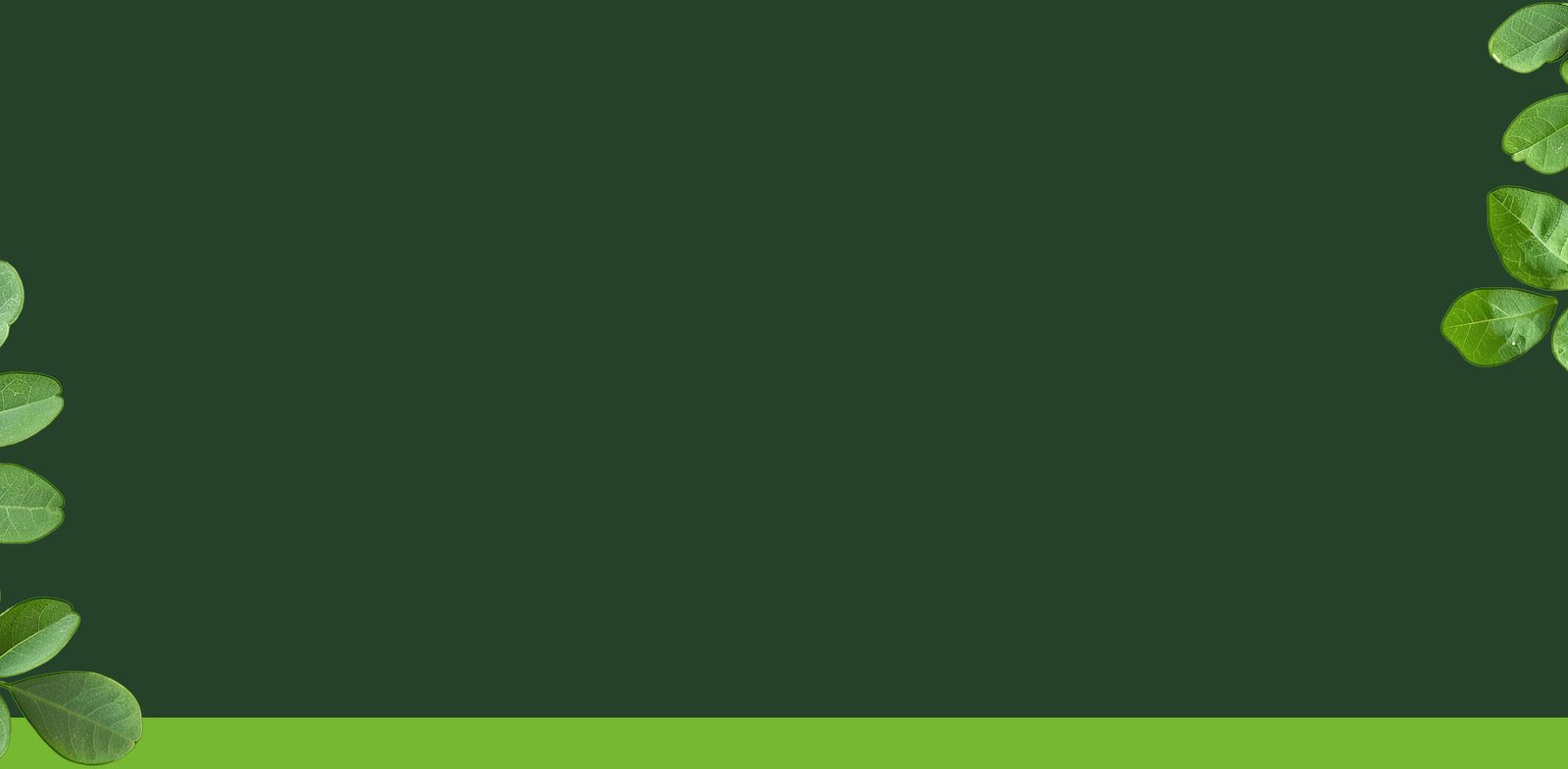 Structure of the hair